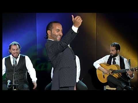 Foro Flamenco | Ganadores del XXI Certamen Nacional de Córdoba