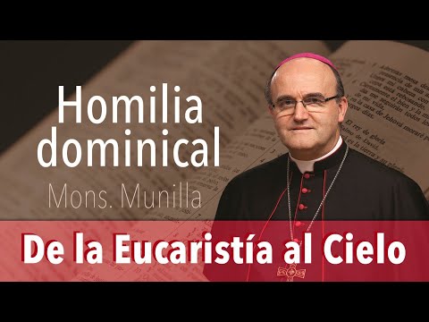 De la Eucaristía al Cielo  Homilía 18.08.24 / Domingo 20º Tiempo Ordinario