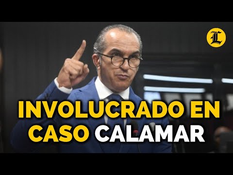SERGIO MOYA GORY, LAS DECLARACIONES QUE LO INVOLUCRAN EN EL CASO CALAMAR