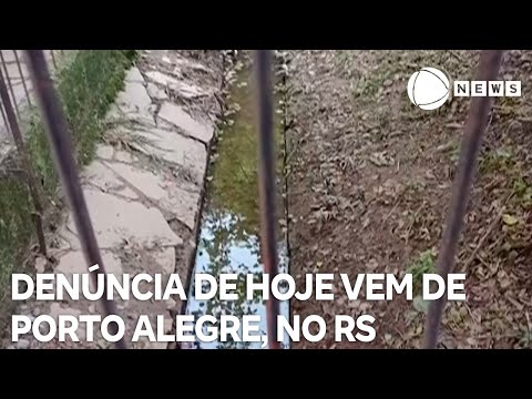 Record News contra a dengue: denúncia de hoje vem de Porto Alegre, capital do Rio Grande do Sul