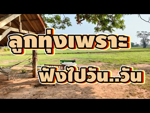 เพลงลูกทุ่งเพราะ-ฟังสบายไปวันๆ เพลงลูกทุ่งเพราะ-ฟังสบายไปวันๆ