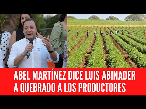 ABEL MARTÍNEZ DICE LUIS ABINADER A QUEBRADO A LOS  PRODUCTORES