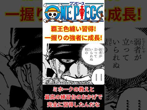 【最新1194話】ゾロが覇王色纏いを完全習得!!一握りの強者のステージへ!! #shorts #ワンピース #onepiece