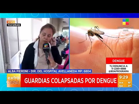 Alerta por el dengue en Tucumán: colapsan las guardias