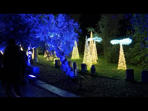 'Naturaleza encendida' vuelve a iluminar el Jardín Botánico