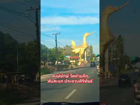 Juree Channel : จุรี​ ชาแนล หงษ์ยักษ์วัดห้วยลึกทับสะแกประจวบคีรีขันธ์