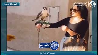 وش عرفها بالصقور