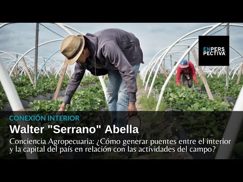 Conciencia Agropecuaria: ¿Cómo generar puentes entre el interior y la capital del país