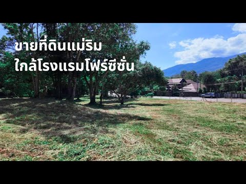 AA0368ขายที่ดินแม่ริมติดโรงแ