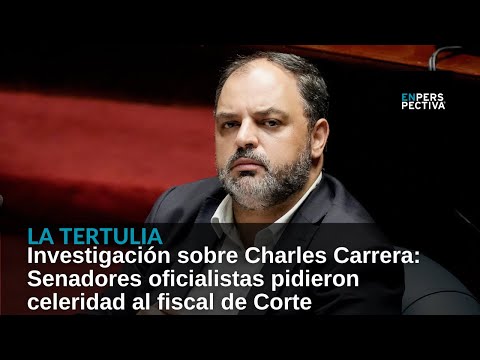 Investigación sobre Charles Carrera: Senadores oficialistas pidieron celeridad al fiscal de Corte
