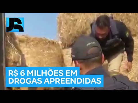 PF apreende 469 quilos de cocaína escondidos em carga de feno na BR-060 em Goiânia (GO)