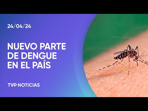 Dengue: más de 333 mil casos y 238 muertes