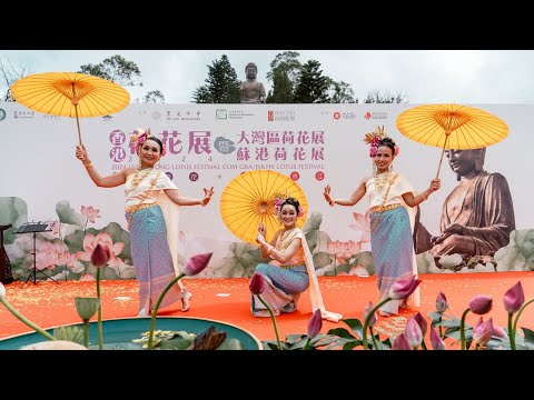 泰北蘭納紙傘舞|香港荷花展2024|寶蓮寺|Th