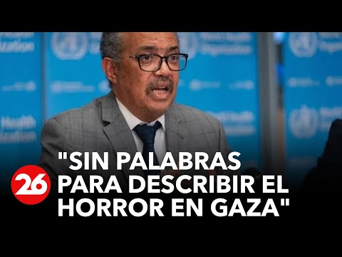 OMS | Nos estamos quedando sin palabras para describir el horror en Gaza