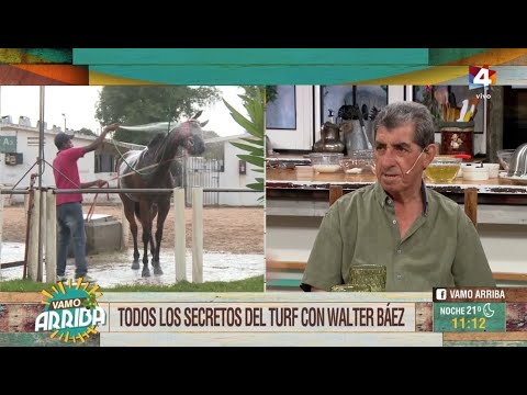 Vamo Arriba - Walter Báez: El Jockey que conquistó Maroñas