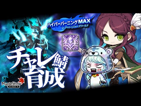 メイプル久々に起動したらハイバニMAXで爆速レベリングすぎてむしろ怖いまである  -メイプルストーリー【メイプル】