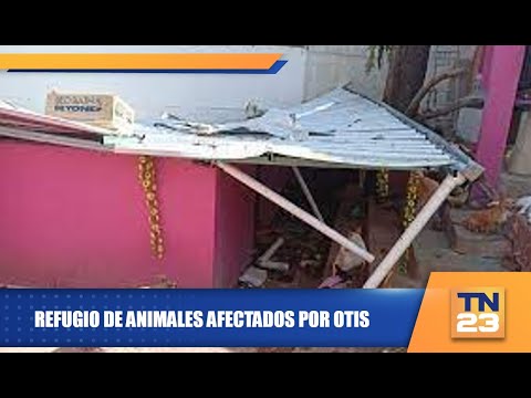 Refugio de animales afectados por Otis