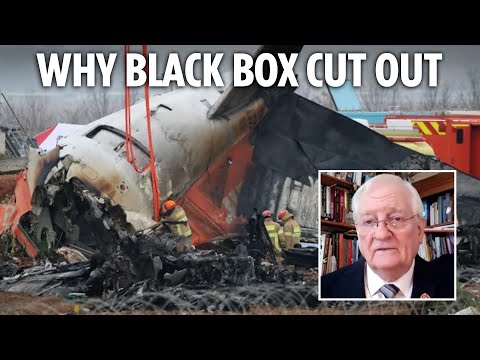 Reason jet's black box stopped working REVEALED after 'domino of catastrophes' led to S Korea crash