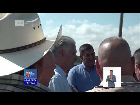 Presidente de Cuba prosigue en Sandino recorrido por municipios del país