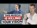 You only need to correct ONE MUSCLE and your vision will be like when you were 20!