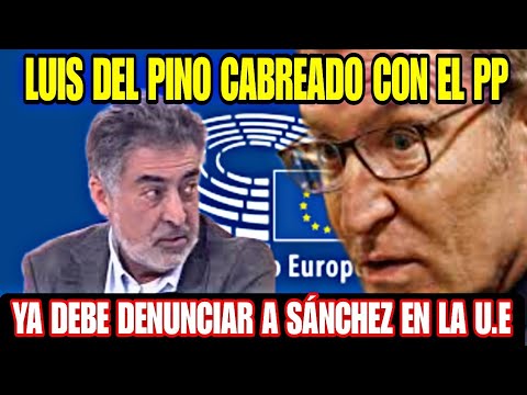 LUIS DEL PINO CABREADO CON EL PP POR NO DENUNCIAR A PEDRO SÁNCHEZ EN LA UNIÓN EUROPEA