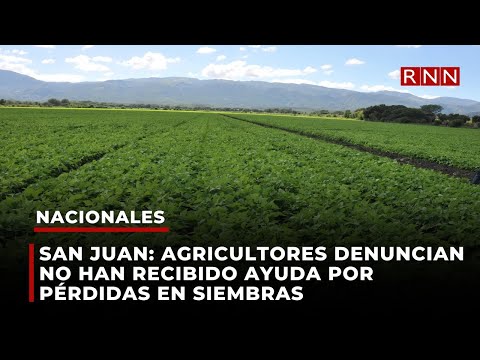 San Juan: agricultores denuncian no han recibido ayuda por pérdidas en siembras