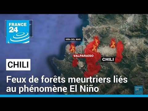 Au moins 112 morts : le Chili dévasté par des incendies de forêt meurtriers • FRANCE 24