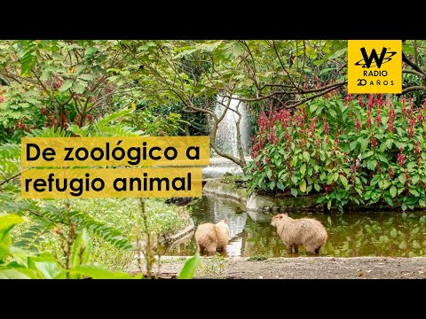 De zoológico a reserva animal
