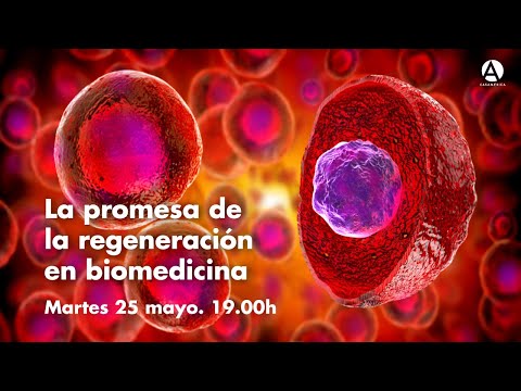 La promesa de la regeneración en biomedicina