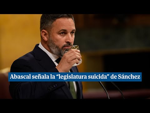 Abascal cree útil la moción para poner fin a la legislatura suicida de Sánchez