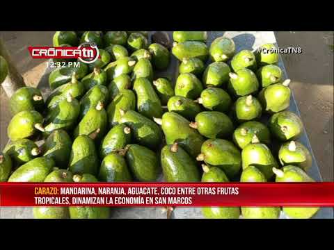 Carazo: Frutas de temporada ofertadas en la carretera San Marcos - Nicaragua