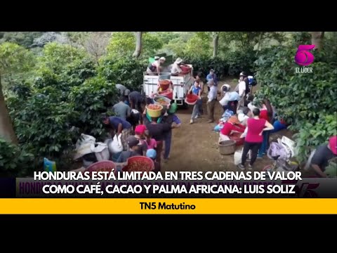 Honduras está limitada en tres cadenas de valor como café, cacao y palma africana: Luis Soliz