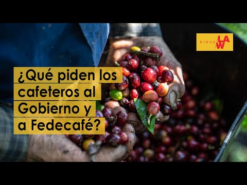 Cafeteros vs. cafeteros: ¿qué le piden al Gobierno y a Fedecafé?