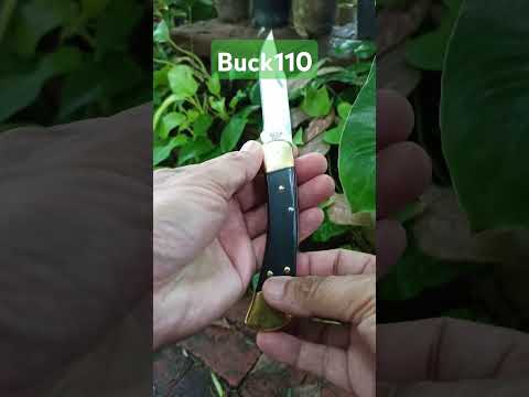 Buck110Foldinghunter