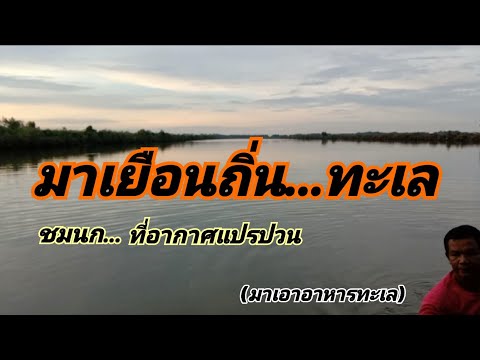 มาเยือนทะเลวังหอยปูปลาและชมนกเ มาเยือนทะเลวังหอยปูปลาและชมนกเ