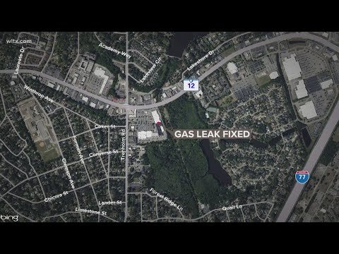 Gas leak fixed at Forest Acres grocery store