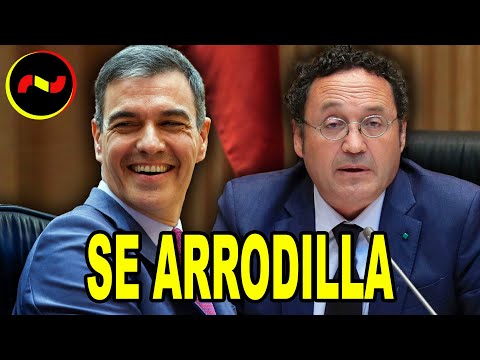 La Fiscalía SE ARRODILLA ante Sánchez y la Ley de amnistía