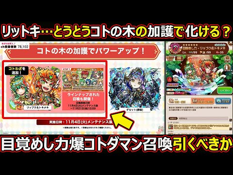 【コトダマン】#2881 リットキ…コトの木の加護で化ける？目覚めし力爆コトダマン召喚引くべきか【上方修正ガチャ考察】