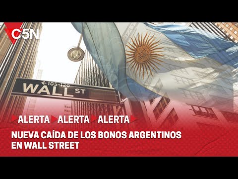 BONOS ARGENTINOS VOLVIERON a CAER en WALL STREET: SE DERRUMBARON hasta un 15!%