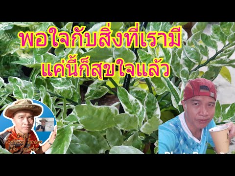มุมกาแฟดีๆมีสาระกับน้าเล็ก:-พอ มุมกาแฟดีๆมีสาระกับน้าเล็ก:-พอ