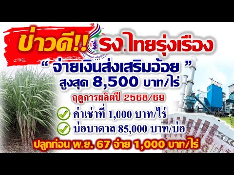 ข่าวดี!โรงงานน้ำตาลไทยรุ่งเรื