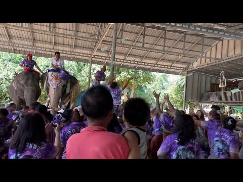 งานวันเกิดน้องพระจันทร์ยิ่