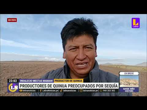 Productores de quinua en Puno y Huancayo sufren por falta de lluvias
