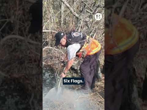 ¡Tlalpan en llamas!: reportan fuerte incendio en bosque cercano a Six Flags