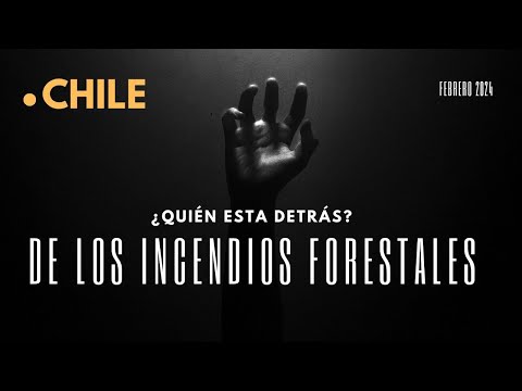 Incendios Forestales en Chile ¿Quién está detrás?