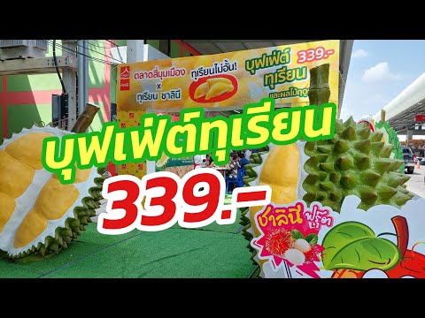 บุฟเฟ่ต์ทุเรียน339บาท