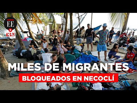 Crisis migratoria: 10.000 migrantes esperan en Colombia para cruzar el Darién rumbo a EE. UU.