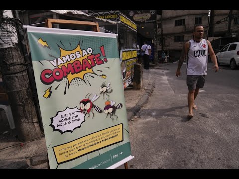 Trapping mosquitos to contain Rio's Dengue outbreak