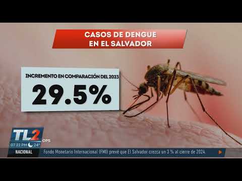 Situación dengue