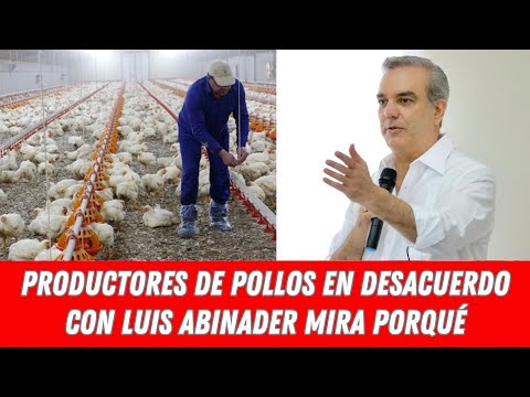 PRODUCTORES DE POLLOS EN DESACUERDO CON LUIS ABINADER MIRA PORQUÉ